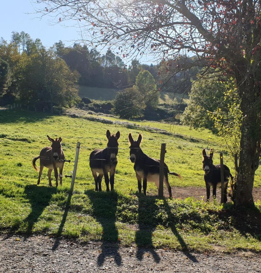 La Ferme De Jeanne Bed & Breakfast Saint-Girons  Bagian luar foto