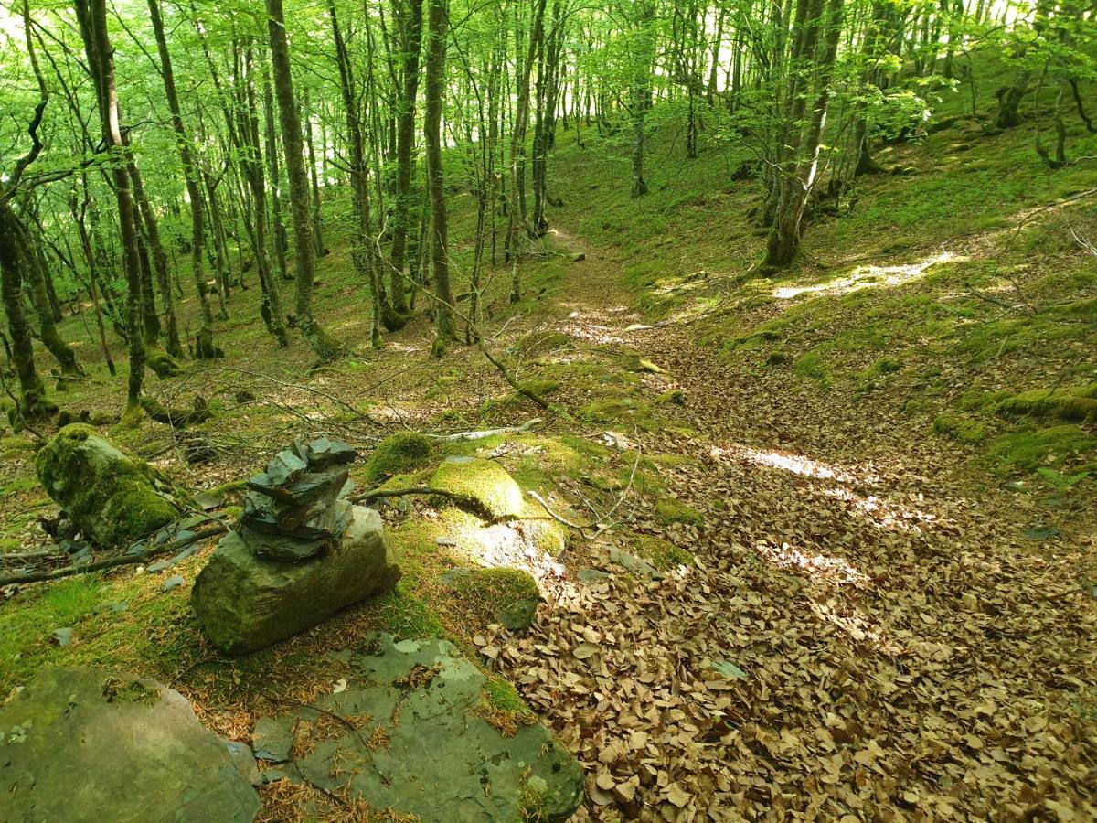La Ferme De Jeanne Bed & Breakfast Saint-Girons  Bagian luar foto